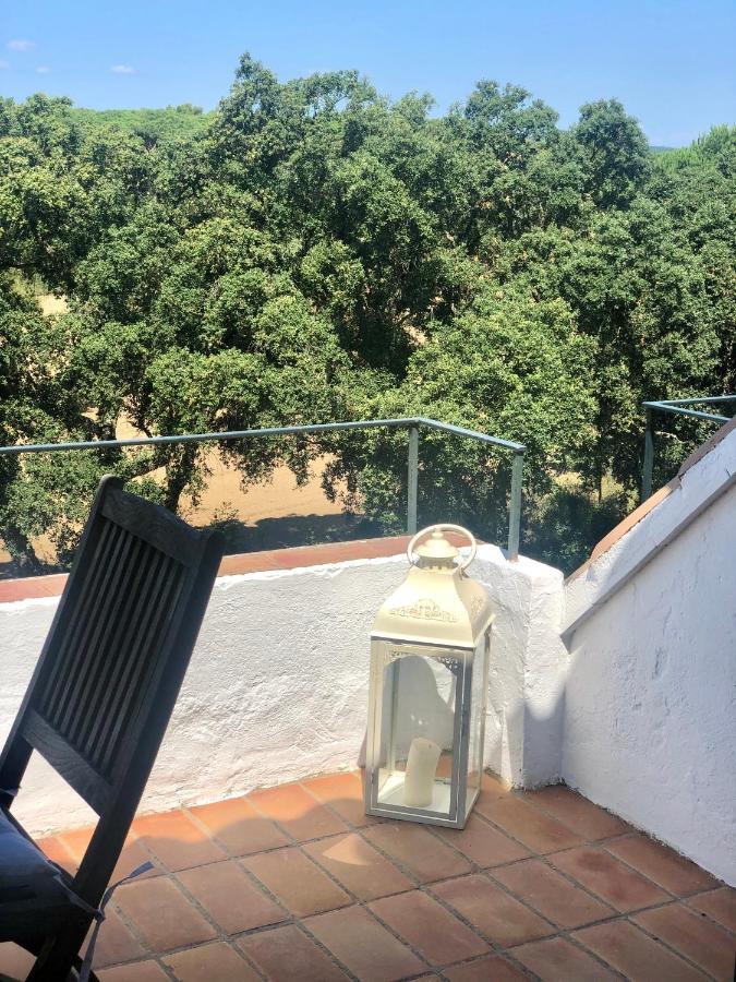 Espectacular Apartamento Con Piscina En Calella De Palafrugell Exterior photo